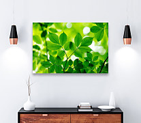 Zelený obraz s listami zs1189